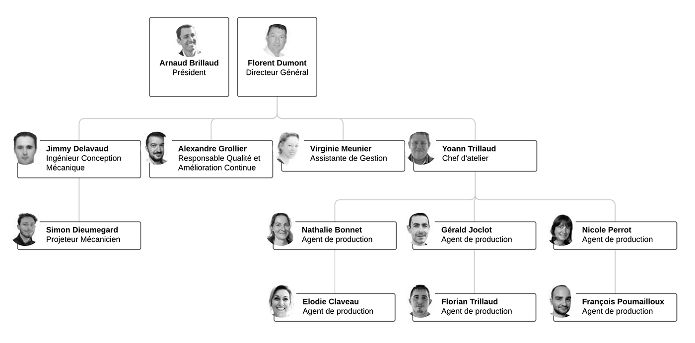 Organigramme de Metaleo